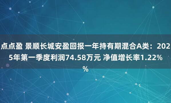 点点盈 景顺长城安盈回报一年持有期混合A类：2025年第一季度利润74.58万元 净值增长率1.22%