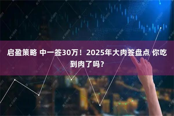 启盈策略 中一签30万！2025年大肉签盘点 你吃到肉了吗？