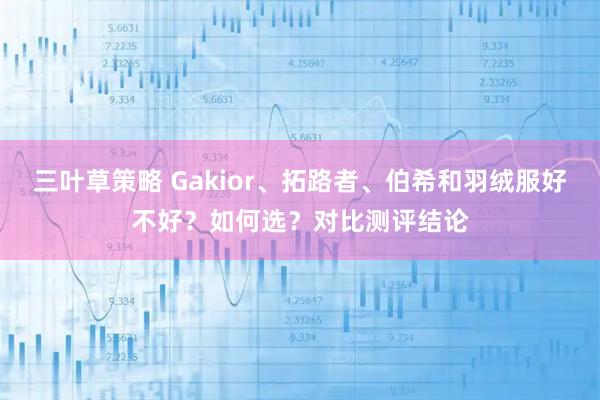 三叶草策略 Gakior、拓路者、伯希和羽绒服好不好？如何选？对比测评结论